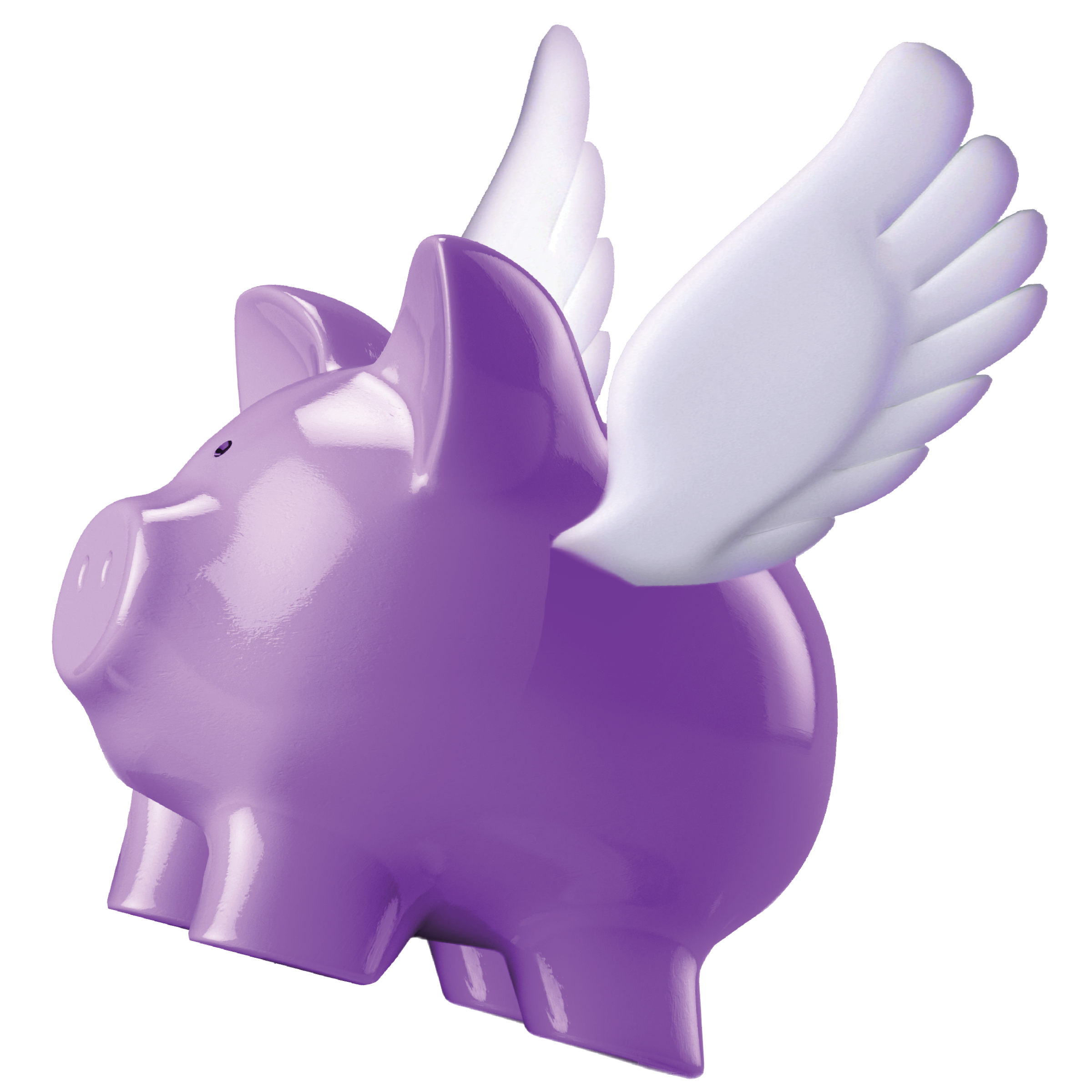 flying purple piggy bank