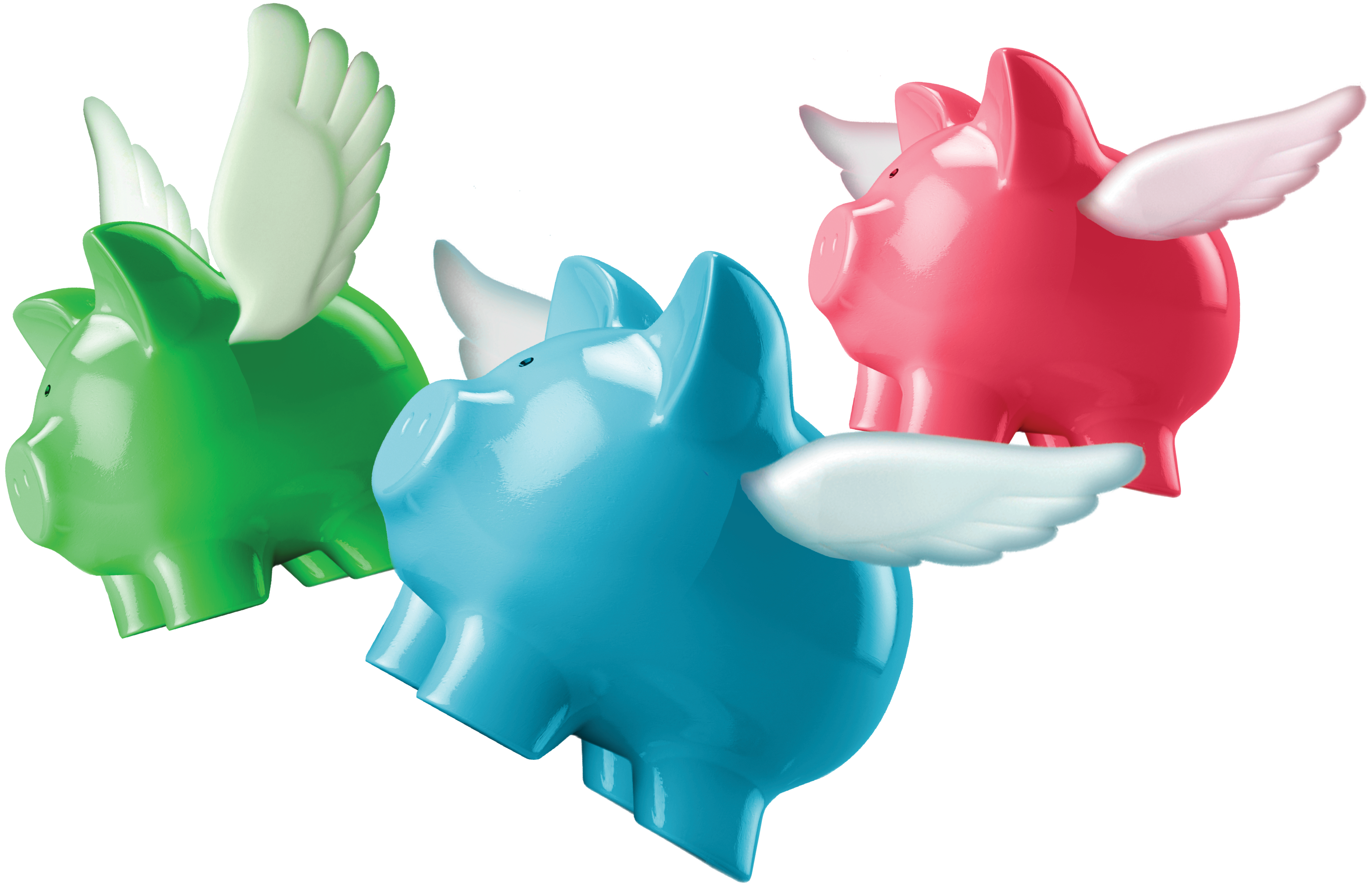 colored flying pigs